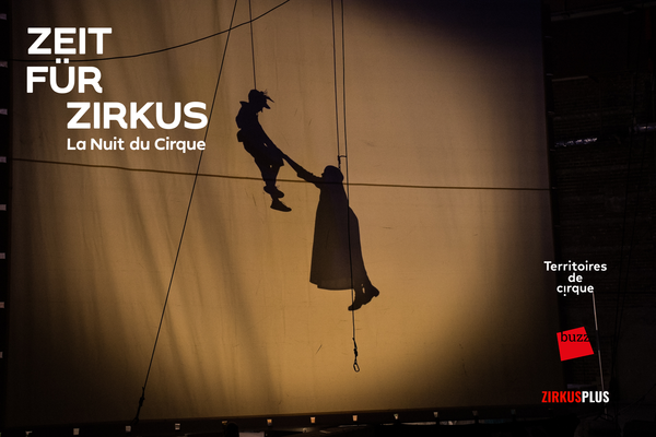 ANGELS Aerials: How Not to Forget How to Fly